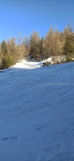 IMG_20220222_164327.jpg